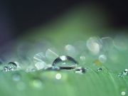 Πετριχώρος: Το Αίμα της Γης που Μυρίζουμε όταν Βρέχει!