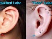 Τι Λένε τα Αυτιά μας για την Καταγωγή μας; αυτιά