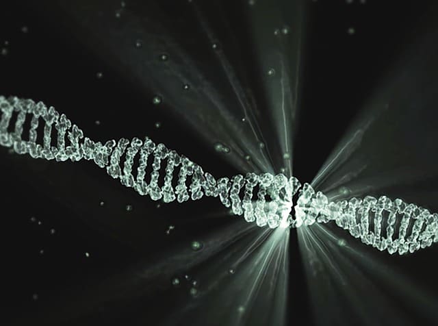 DNA συνδέεται σε Συμπαντικό Επίπεδο