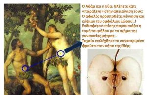 Μήλο: Ο απόκρυφος αρχετυπικός συμβολισμός του μήλο και πρωτόπλαστοι