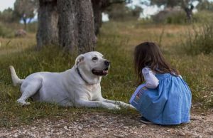Τι Ονόματα Έδιναν οι Αρχαίοι Έλληνες στους Σκύλους τους