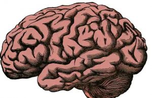 Το μυαλό έχει ένα κουμπί διαγραφής. Πως να το χρησιμοποιούμε