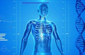 30 παράξενες αλήθειες για το ανθρώπινο σώμα που κάποιες μας ξεπερνούν και μοιάζουν «υπεράνθρωπες»