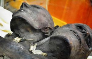 Kap Dwa. Μυστηριώδης Γίγαντας 3,5μ, Δύο Κεφάλια