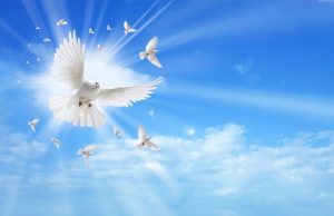 Φωτίστηκαν Πράγματι από το Άγιο Πνεύμα οι Οικουμενικές Σύνοδοι; Άγιο πνεύμα - περιστέρι