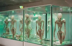 UFO και νεκρά εξωγήινα σώματα αποθηκεύονται αλλά όχι στην Περιοχή 51 εξωγήινα πτώματα σε γυάλινες θήκες