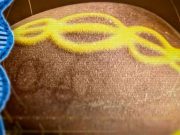 Το πέτρινο γιγάντιο «αυγό» 7.000 ετών με το DNA χαραγμένο επάνω του, που η επιστημονική κοινότητα δεν αποδέχτηκε Το πέτρινο γιγάντιο «αυγό» 7.000 ετών με το DNA χαραγμένο επάνω του, που η επιστημονική κοινότητα δεν αποδέχτηκε