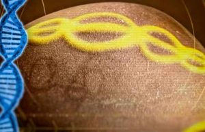 Το πέτρινο γιγάντιο «αυγό» 7.000 ετών με το DNA χαραγμένο επάνω του, που η επιστημονική κοινότητα δεν αποδέχτηκε Το πέτρινο γιγάντιο «αυγό» 7.000 ετών με το DNA χαραγμένο επάνω του, που η επιστημονική κοινότητα δεν αποδέχτηκε