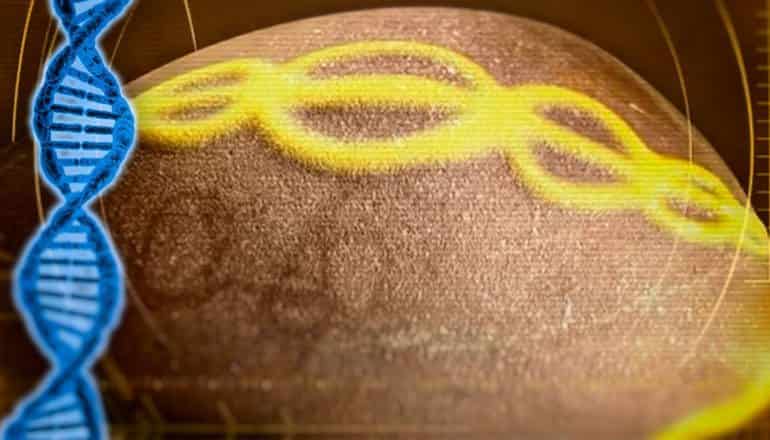 Το πέτρινο γιγάντιο «αυγό» 7.000 ετών με το DNA χαραγμένο επάνω του, που η επιστημονική κοινότητα δεν αποδέχτηκε