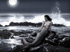 Σκελετός Γοργόνας Φυλάσσεται σε Μουσείο της Δανίας Σκελετός Γοργόνας Φυλάσσεται σε Μουσείο της Δανίας (sci-fi)