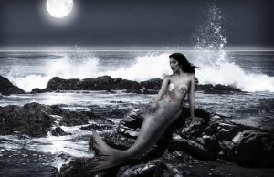 Σκελετός Γοργόνας Φυλάσσεται σε Μουσείο της Δανίας Σκελετός Γοργόνας Φυλάσσεται σε Μουσείο της Δανίας (sci-fi)