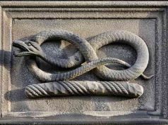 ΤΟ ΦΙΔΙ ΩΣ ΣΥΜΒΟΛΟ