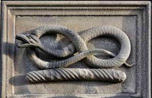 ΤΟ ΦΙΔΙ ΩΣ ΣΥΜΒΟΛΟ