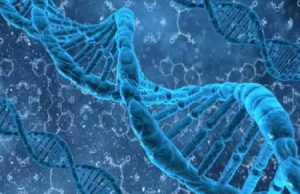 Τα Μυστικά Κλειδιά των Ουρανών στο Ελλάνιο Όρος