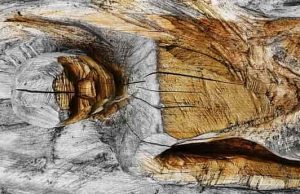 Η μυστηριώδης «πανοπλία» που βρέθηκε σε λατομείο της Πεντέλης