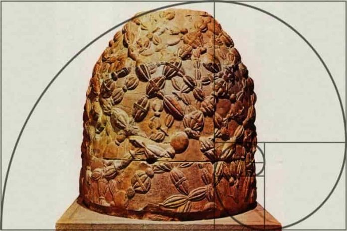 omph 01 Navel-of-the-delphi-a-fibonacci-4-786x524-min Ο Ομφαλός των Δελφών. Ομφαλός του Κόσμου