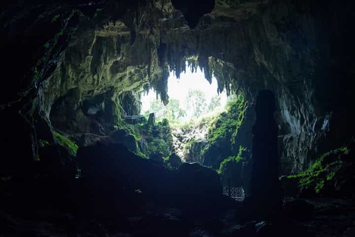 Δεν Φαντάζεστε «Τι» Κατοικούν στα Ελληνικά Σπήλαια!!! (εικόνες)