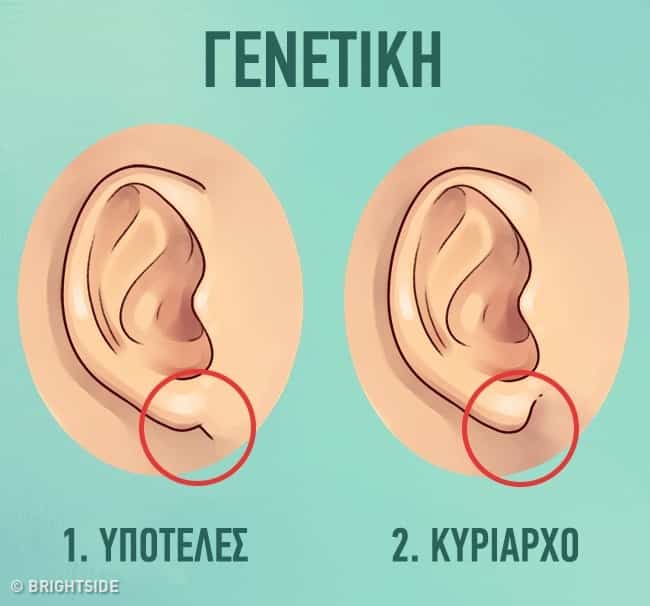 Τι Αποκαλύπτουν τα Αυτιά σας Για τον Εαυτό σας
