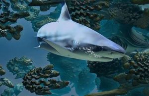 Τι Βρίσκεται στον Αντίποδα των Πυραμίδων Αν Σκάψουμε με Άξονα το Κέντρο της Γης