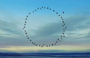 Ποιο χάρισμα έχουμε σύμφωνα με την ημερομηνία γέννησής μας