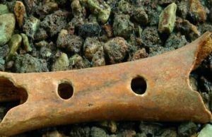 Βρήκαν αυτό το 43.000 ετών κόκαλο που δείχνει ότι πιθανόν οι Ιστορικοί μας κρύβουν την αλήθεια