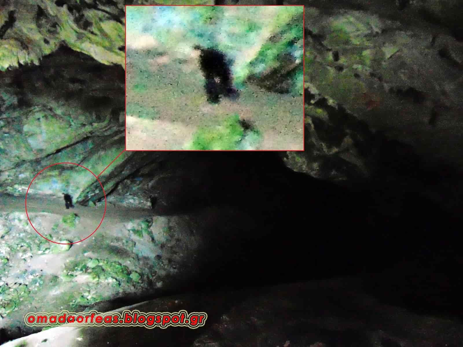 Δεν Φαντάζεστε «Τι» Κατοικούν στα Ελληνικά Σπήλαια!!! (εικόνες)