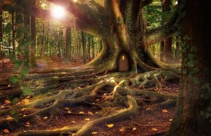 Ποιοι είναι οι «ζωντανοί» ενεργειακοί Τόποι Δύναμης