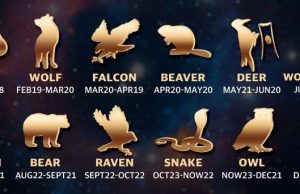 Τα ινδιάνικα ζώδια και το νόημά τους στην ζωή μας ινδιάνικα ζώδια