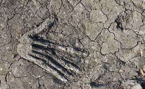 Όταν Βρήκαν Αυτά τα Χέρια 3.600 ετών Κατάλαβαν ότι ΚΑΤΙ ΔΕΝ ΠΗΓΑΙΝΕ ΚΑΛΑ !!! 