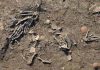 3600-year-old pits full of giant hands discovered in Egypt 03-min