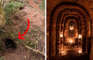 Φωλιά λαγού αποκάλυψε σπηλιές από Ναΐτες, Δρυίδες Φωλιά Λαγού και σπηλια