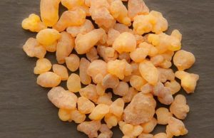 Λιβάνι: η ρητίνη με πολλές θεραπευτικές ιδιότητες