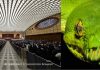 dark-secrets-behind-popes-audience-hall-giant-reptilian 06-min