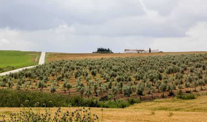 H πόλη χωρίς αστυνομία με 0% ανεργία 1200 ευρώ μισθό και σπίτια με 15 ευρώ τον μήνα !!!