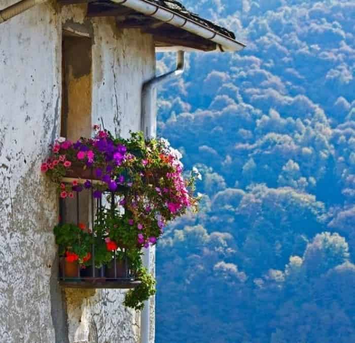 25 ονειÏεμÎνα ÏÏιÏάκια ÏÏα βοÏ
νά ÏÎ·Ï ÎÎ»Î»Î¬Î´Î±Ï ÏοÏ
ÎÎ ÎÎΣ ÎÎ ÎÎΤÎÎÎÎÎΣÎÎΣ ΤΩΡΠ!!!