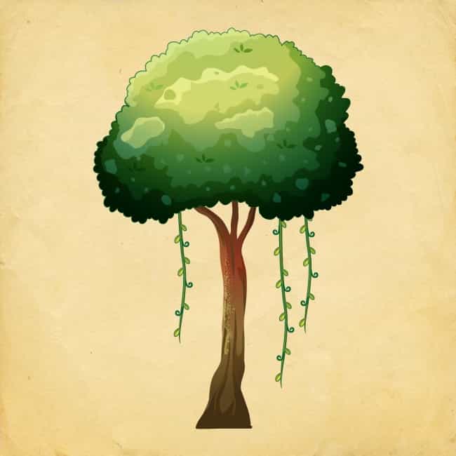 Η επιλογή ενός δέντρου δείχνει τι αλλαγές θα έχουμε το Νέο Έτος στην προσωπική μας ζωή