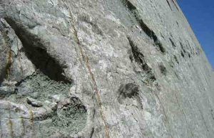 Ανακάλυψαν Πατημασιές Δεινοσαύρων Κάθετες σε Βράχο Γεγονός που Προβλημάτισε τους Επιστήμονες για το πως Μπορεί να Περπατούσαν (εικόνες)