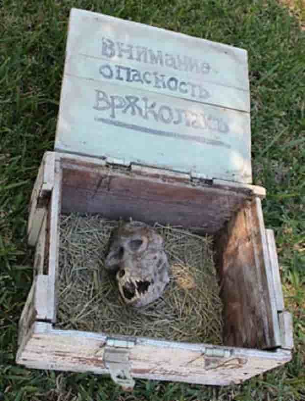 Βρήκε ένα θαμμένο κουτί με το κεφάλι ενός Λυκάνθρωπου, στα Σκόπια