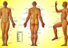 body meridians – mesimvrinoi somatos 02 Scientific-Research-Finally-Proved-That-Meridians-Exist-min