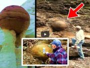 Ποιοι Έριξαν Αυτές τι Βομβάρδες σε Όλο τον Πλανήτη πριν 300 εκ. Χρόνια;