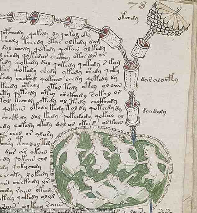 Χειρόγραφο του Voynich