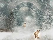 Πέρασμα Ντιάτλοφ. Το μυστηριώδες φονικό σκιέρ