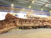 Φαίνεται Σαν ένας Φαγωμένος Κορμός Δέντρου Αλλά Είναι μία Ξυλογλυπτική Δημιουργία