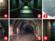 Σε Ποια Πόρτα Φοβάστε να Μπείτε; Ανακαλύψτε τι θέλει η Ψυχή σας Περισσότερο