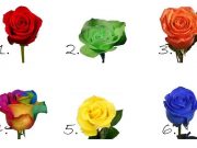 Το τριαντάφυλλο που φανερώνει όμορφα μυστικά