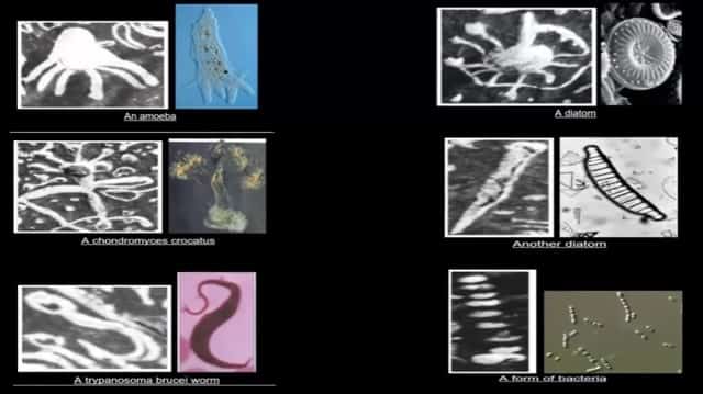 Βρέθηκε Αρχαία Μελέτη της Ζωής στην Γη πριν 3.000 Χρόνια! Ποιοι την Έκαναν και Γιατί;