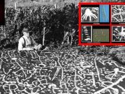 Βρέθηκε αρχαία μελέτη της ζωής στην Γη πριν 3.000 Χρόνια, σύμφωνα με ισχυρισμούς