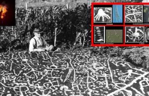 Βρέθηκε αρχαία μελέτη της ζωής στην Γη πριν 3.000 Χρόνια, σύμφωνα με ισχυρισμούς