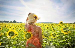 8 Φράσεις που Φανερώνουν Ανθρώπους με Υψηλή Συναισθηματική Νοημοσύνη