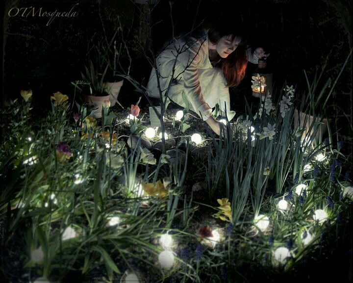 Φυτέψτε τον Δικό σας Μαγικό Κήπο με Λουλούδια που Ανθίζουν τη Νύχτα